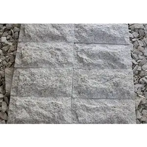 אריחי גרניט אפור אבן דקורטיבית קיר עם פטריות