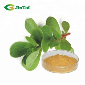 Portulaca Oleracea Extract Poeder Postelein - Product Image 1