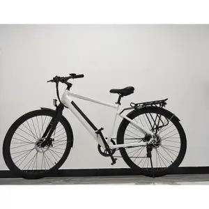 PETRIGO 700 36 v 250 w Arka Motorlu Elektrikli Şehir Bisiklet E-bisiklet Pedalı Destekli Gizli Pil Elektrikli Bisiklet