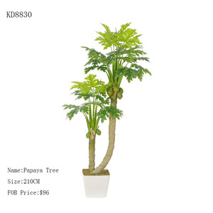 Al por mayor Evergreen artificial decorativa árbol de fruta de la <span class=keywords><strong>papaya</strong></span> con precio barato - Product Image 5