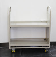 Chariot de transport moderne à deux niveaux en acier pour bibliothèque, personnalisé, en vente