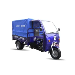 Triciclo de carga de 5 ruedas motorizado, proveedor profesional de China, 250cc, con cubierta de carga impermeable