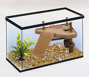 <span class=keywords><strong>Plateforme</strong></span> flottante décorative pour tortues avec rampe d'accès - Product Image 5