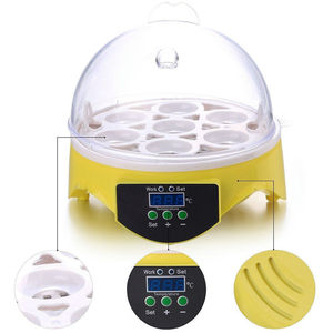 Mini-incubateurs HHD super mignons pour l'éclosion de 7 œufs, bon équipement pour les poulets, jouets éducatifs - Product Image 3