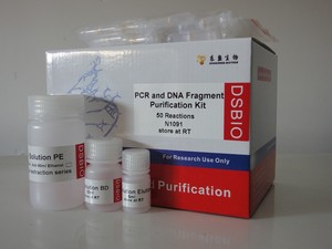 PCR y DNA Purification Kit Fragmento - Product Image 1