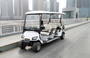 Zhongyi Marque Utilitaire <span class=keywords><strong>chariot</strong></span> de <span class=keywords><strong>golf</strong></span> avec <span class=keywords><strong>des</strong></span> prix bas - Product Image 2