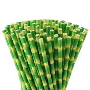 Promotion Disposable Bamboo Paper Straw For Drinking