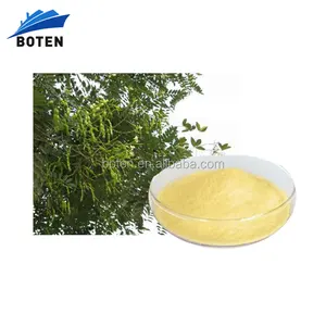 Sophora Japonica 추출물 Kaempferol 분말