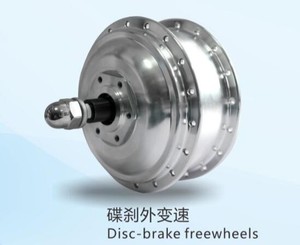Moteur de la <span class=keywords><strong>roue</strong></span> <span class=keywords><strong>avant</strong></span> pour vélo, vélo électrique moteur <span class=keywords><strong>roue</strong></span> <span class=keywords><strong>avant</strong></span> - Product Image 4