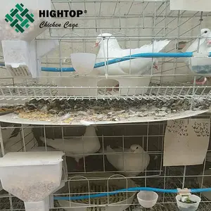 中国工厂最畅销的高品质电线育种鸽子笼出售