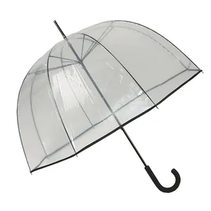 Hot Selling Bird Shape Dome Transparent Apollo Straight Umbrella