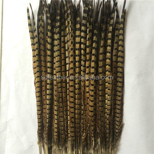 China proveedor barato plumas de <span class=keywords><strong>faisán</strong></span> del ringneck - Product Image 1