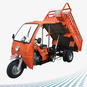 Pabrik Guangzhou Skuter Motor 3 Roda Mobil, Becak Otomatis Lima Roda Gas