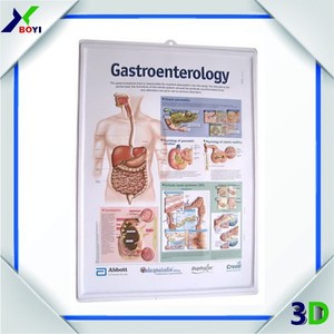 Cheap custom 3d en relieve pvc impresión de carteles / médica carteles y gráficos - Product Image 2