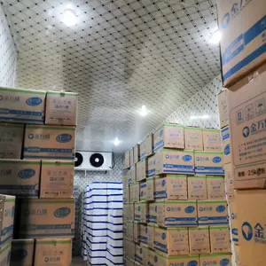 Ruang Dingin Freezer Besar Daging Beku untuk Dijual Ruang Dingin untuk Ruang Pendingin Ikan Sayuran Bawang Unit Kondensor Brasil