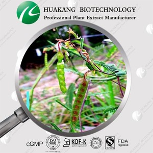 Alta calidad extracto de raíz de <span class=keywords><strong>bardana</strong></span> / extracto de hierbas - Product Image 5
