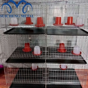 Cage <span class=keywords><strong>à</strong></span> poussins de type H de Guangzhou, petite cage <span class=keywords><strong>à</strong></span> poulets, cage pour 300 poulets - Product Image 1