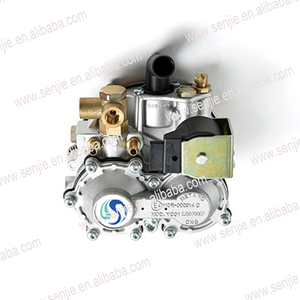 Senjie Cng reductor de presión/kit de conversión de cng - Product Image 3