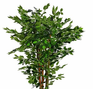 UK-Jardines Grandes Ficus Benjamina Árbol Artificial Planta En Maceta Artificial - Product Image 2
