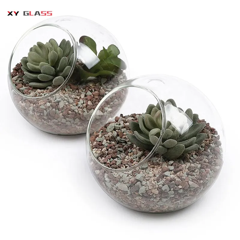 Decorative clear glass globe hanging terrarium planter terrarium contain vase