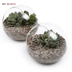 Decoratieve Helder Glas Globe Opknoping Terrarium Planter Terrarium Vaas Bevatten