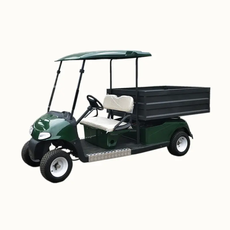 Carro de Golf estilo furgoneta eléctrica carga mini camión eléctrico