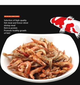 Nourriture d'aquarium pour poissons, crevettes, <span class=keywords><strong>tortue</strong></span>, rivière séchée - Product Image 5