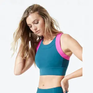 2024 Womens Hot Sexy Bra Wholesale Plus Crop Top Sports Bra Fitness Yoga Gym Active