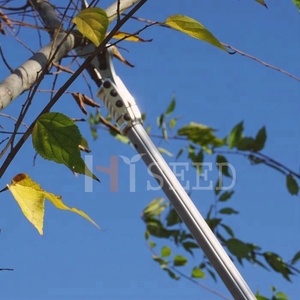 Forbici Elettriche a Palo Lungo per <span class=keywords><strong>Potatura</strong></span> di Alberi di Mele, Ulivi e Vigneti - Product Image 2