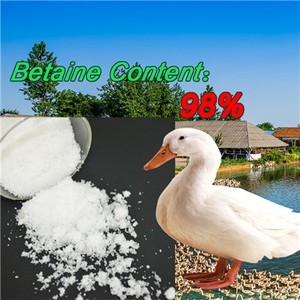 Grado de la alimentación Vitaminas 98% <span class=keywords><strong>betaína</strong></span> <span class=keywords><strong>HCL</strong></span> (<span class=keywords><strong>betaína</strong></span> 70%) - Product Image 1
