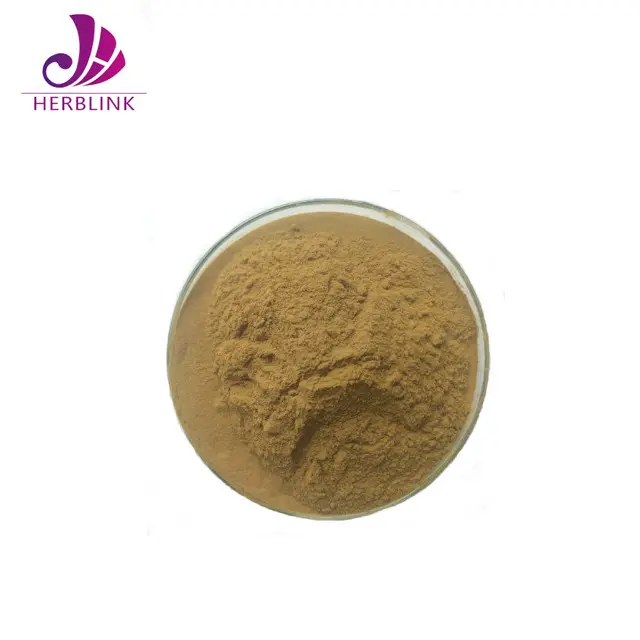 Echinacea P.E. Kräuter extraktion verarbeitung anlage Echinacea Purpurea Extract Powder