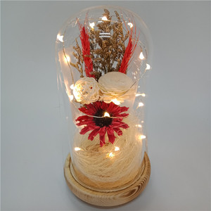 <span class=keywords><strong>Rose</strong></span> éternelle rouge dans un dôme en verre, œillets artificiels dans un dôme en verre avec lumière LED, cadeau pour les fêtes - Product Image 5