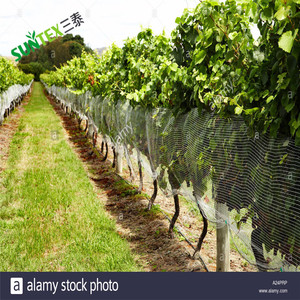 Chống Bird lưới cá Pond <span class=keywords><strong>PE</strong></span> thắt nút bảo vệ <span class=keywords><strong>Net</strong></span> Đen 2'x2 "lưới lỗ Vườn Chim <span class=keywords><strong>Net</strong></span> bẫy - Product Image 6