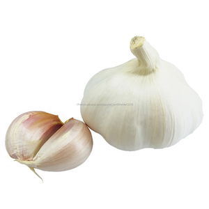 2018 Nouvelle Récolte Elephant Pure <span class=keywords><strong>Ail</strong></span> Blanc En Vente - Product Image 5