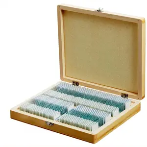 Wooden box set für 100 arten Human Anatomy und histologie vorbereitet objektträger