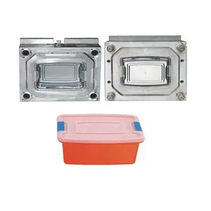 Experienced Customized Injection Plastic Storage Trunk Mould