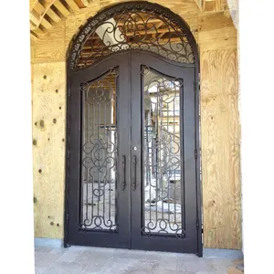 Modern zarif dış metal cam aynalığın ile çift giriş demir kapılar