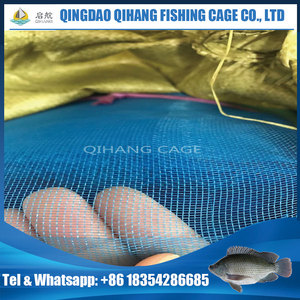 Công Ty Lưới Đánh Cá Hapa <span class=keywords><strong>Net</strong></span>, Cá Rô Phi - Product Image 5