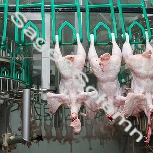 Grilletes de Plástico y Nailon para Evisceración de Aves de Corral para Uso en Restaurantes, Alta Productividad - Product Image 6