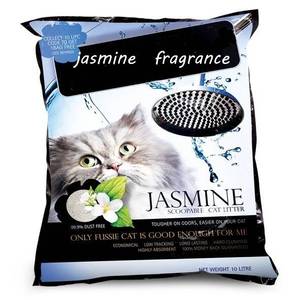Hunde fisse