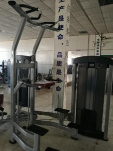 Equipo de gimnasio Assist Dip Chin XF902 - Product Image 2