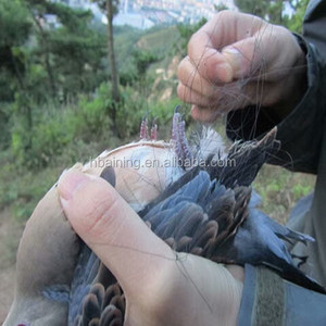 Prezzo basso di un fuori dal nero di plastica uccello mist reti per la cattura di uccelli - Product Image 5