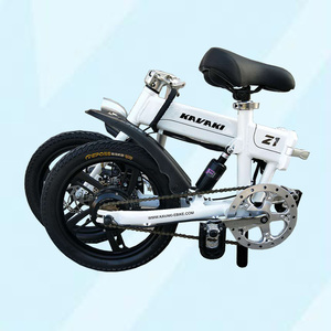 Japonais <span class=keywords><strong>48v</strong></span> <span class=keywords><strong>1000w</strong></span> adulte électrique vélo batterie <span class=keywords><strong>quad</strong></span> vélo pour dame - Product Image 5