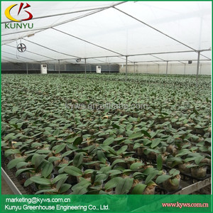 Multi-span pellicola di plastica serra <span class=keywords><strong>per</strong></span> orchidea Phalaenopsis piantina con ombreggiatura netto - Product Image 5