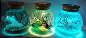 Hornbeam e conchiglie di mare in bottiglia con multi colore HA CONDOTTO LA luce di sabbia regalo di trasporto marittimo per la casa della decorazione della casa del regalo del desktop - Product Image 4