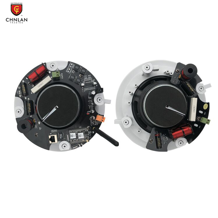 Звуковая система для умного дома, стереозвук, Коаксиальная сеть, Wi-Fi управление, беспроводной Потолочный IP-динамик