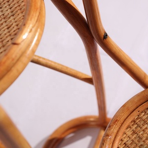 Venta al por mayor de la habitación flor diseños de muebles de ratán de planta - Product Image 2