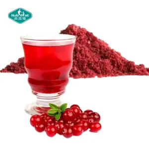 Nutrifirst Bespoke Cranberry Flour Frozen-Dried Cranberry Fruit Water Soluble Extract Powder with Customized Packaging