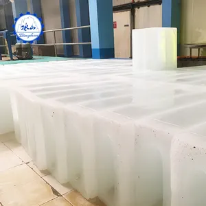 Plante de glace en bloc d'ambre avec compresseur, 2020 x