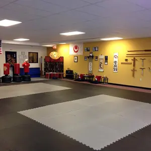 Bjj Tatami Taekwondo Grappling Foam Matten Mma Judo Karate Inter Vergrendeling Oefening Gym Matten Tegels